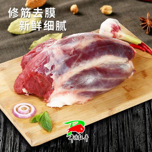 甘肃新鲜牛肉 冷冻牛腱子肉 500g*2袋 农家散养牛肉国产健身牛腿腱子肉