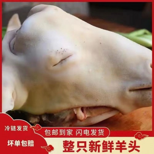 整只生新鲜带皮羊头肉鲜羊脸肉山羊头