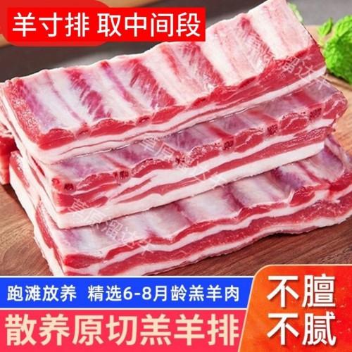 原切羊寸排手把羊排羊肋排特级正宗内蒙羊排-2400g