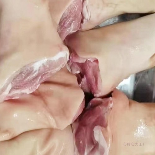 冷冻新鲜猪肘子 生猪蹄膀 猪后肘子 猪前肘子20斤箱
